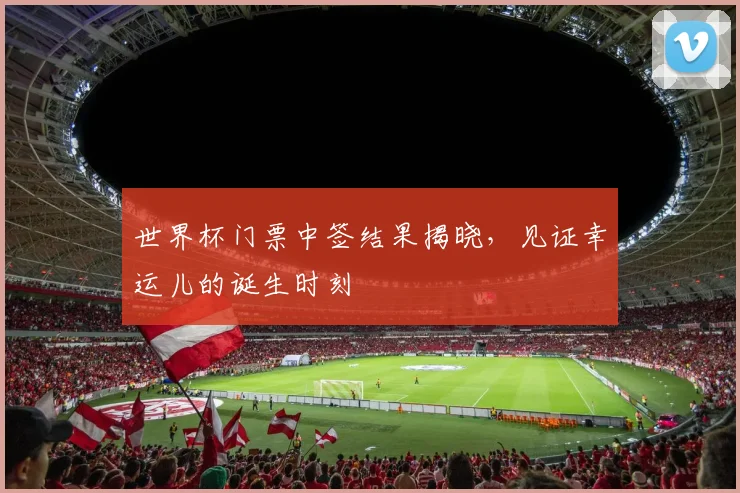 世界杯门票中签结果揭晓,见证幸运儿的诞生时刻