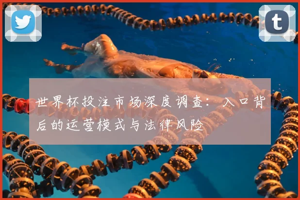 世界杯投注市场深度调查:入口背后的运营模式与法律风险