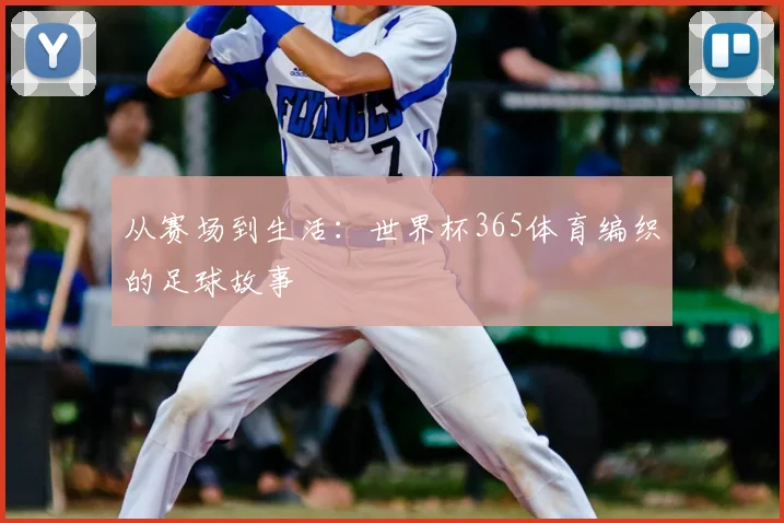 从赛场到生活:世界杯365体育编织的足球故事