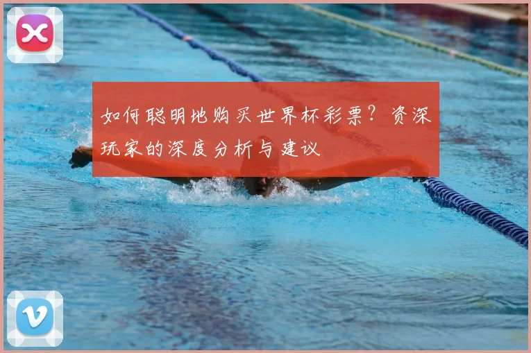 如何聪明地购买世界杯彩票?资深玩家的深度分析与建议