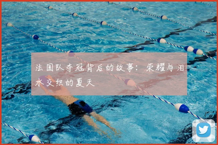 法国队夺冠背后的故事:荣耀与泪水交织的夏天