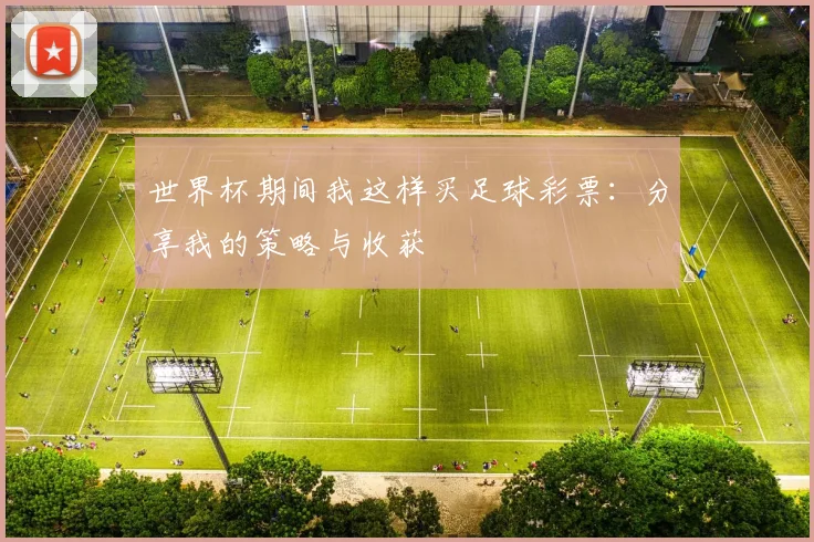 世界杯期间我这样买足球彩票:分享我的策略与收获