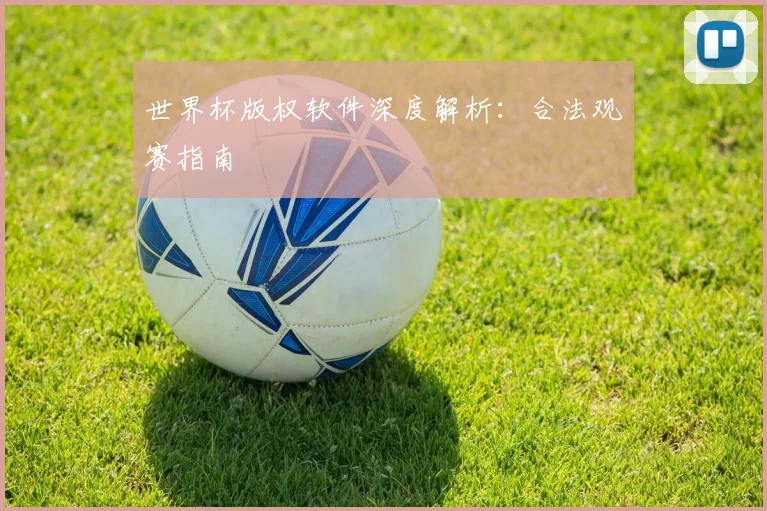 世界杯版权软件深度解析：合法观赛指南