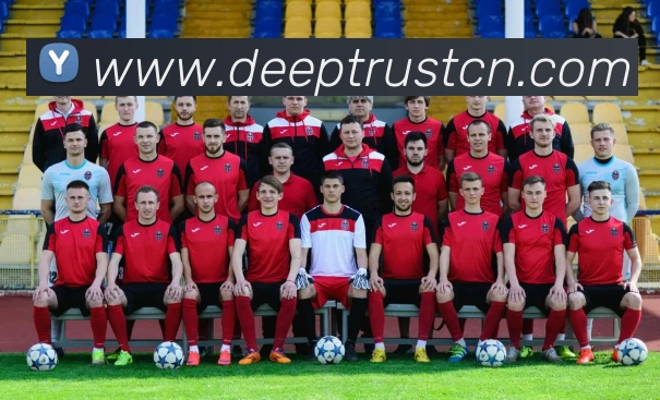 米兰app官方登录入口平台生态图